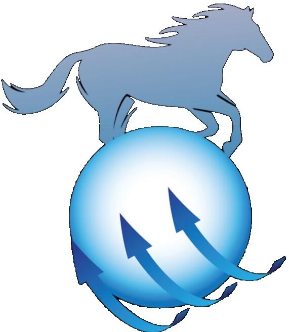 nexleadsglobal.com